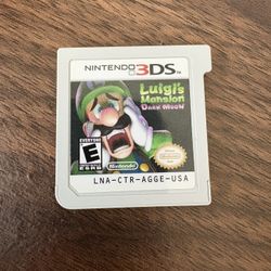 Luigi 3DS Game