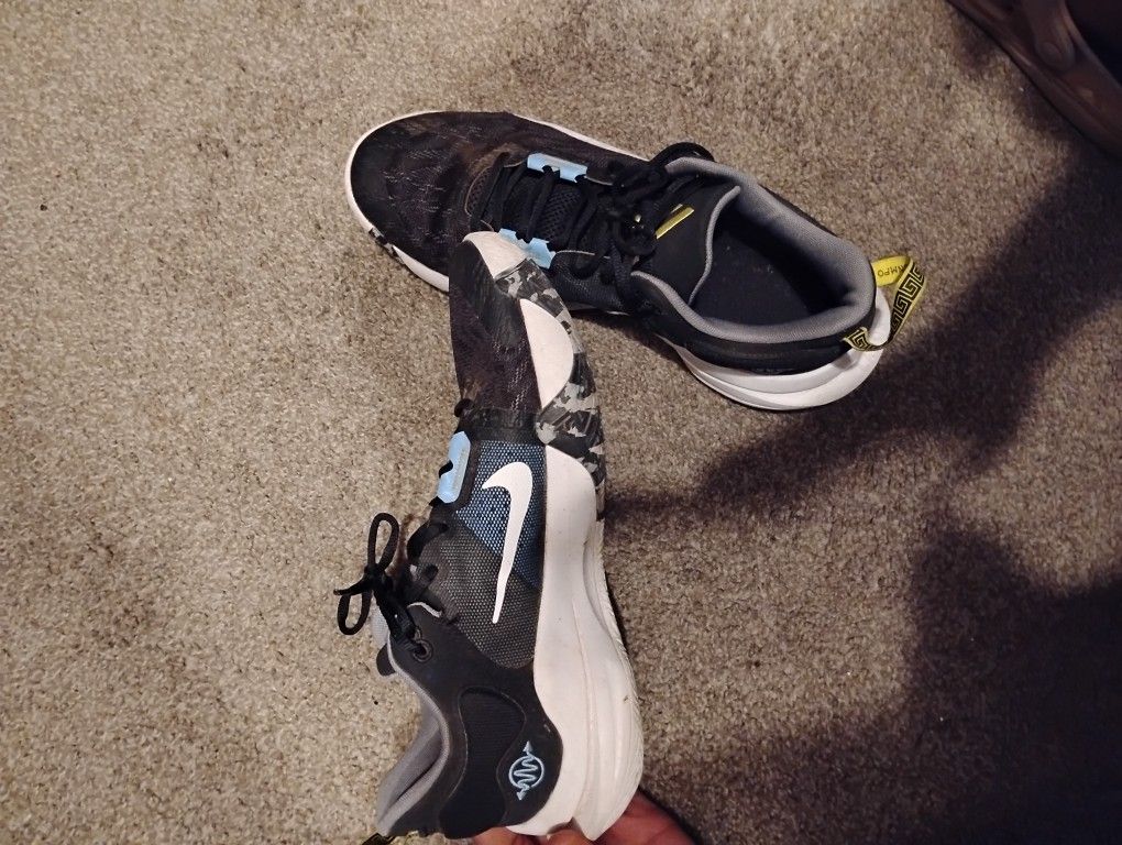 Giannis Basketball Shoes / 10.5
