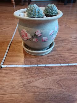 Gray With Roses Theme Decorative Planter Pot With 3 Succulents 