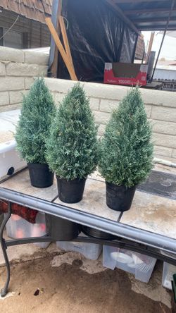 Ikea Tree Decor