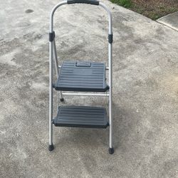 $20 2 STEP LADDER