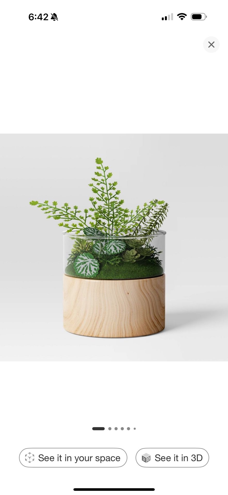 Decorative Fake/faux Plant 