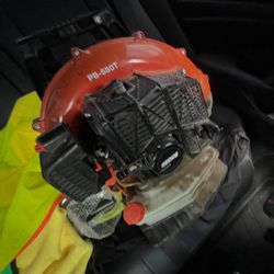 Echo Leaf Blower