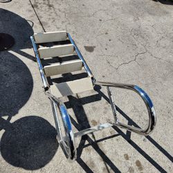 SC8900-022 Stainless Swim Ladder