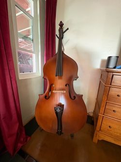 Johanne Kohrs String Bass
