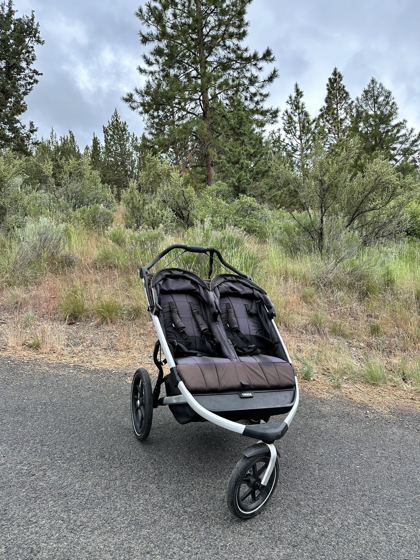 THULE DOUBLE STROLLER