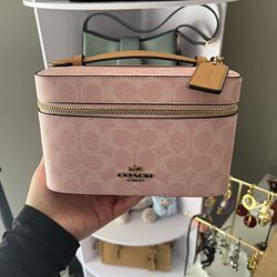 Powderpink Cosmetic Case