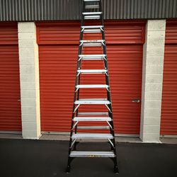 DeWalt Type IA 300lb Rated FG Stepladder 12' DXL3010-12