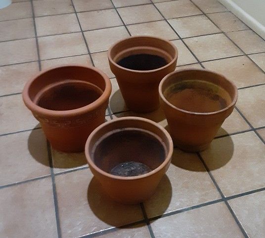 Flower Pots