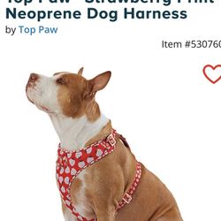 NEW Strawberry Print Neoprene Dog Harness **XS,S,M,L-Available ** Retails For $33 An Absolute Steal @$12 !!**