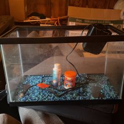 Fish Tank With Filter 