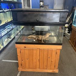 40 Gallon Turtle Reptile Fish Tank, Woood Canopy And Stand Combo Only $300