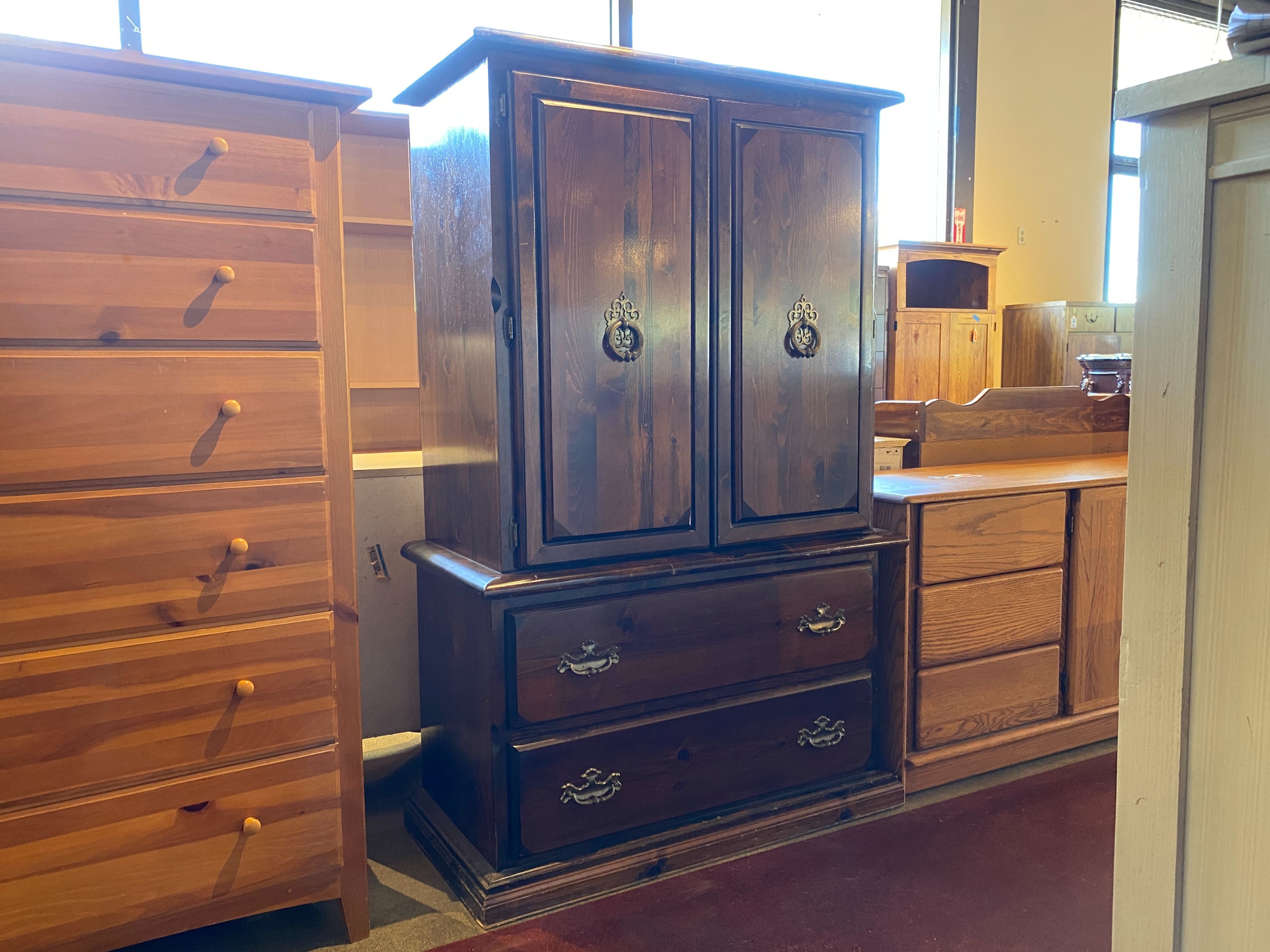 Dark Cottagecore Armoire