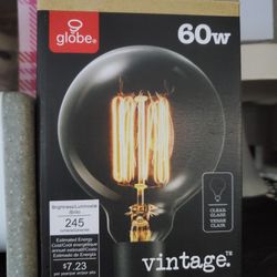 Vintage Globe Bulb