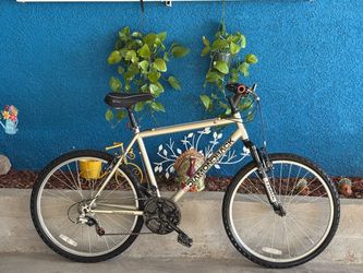 26” Diamondback Mountain Bike