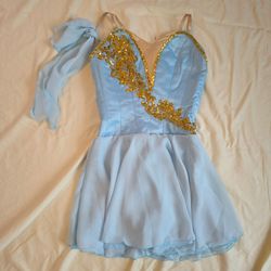Talisman Cupid Professional Ballet Tunic Dress Costume Blue and Gold