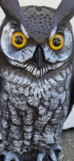 Plastic owl decorations