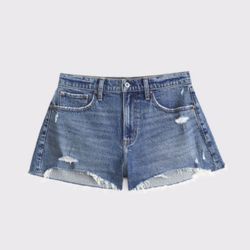 Abercrombie & Fitch Curve Love High Rise Mom Short/ 28 