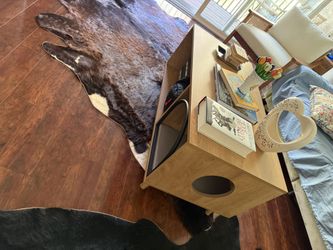 Coffee Table With Kitty Space