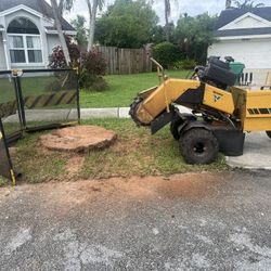 Stump Grinding 