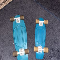 Penny And Nickel Board 