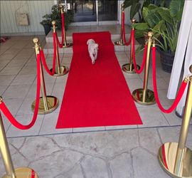 Party Decorations