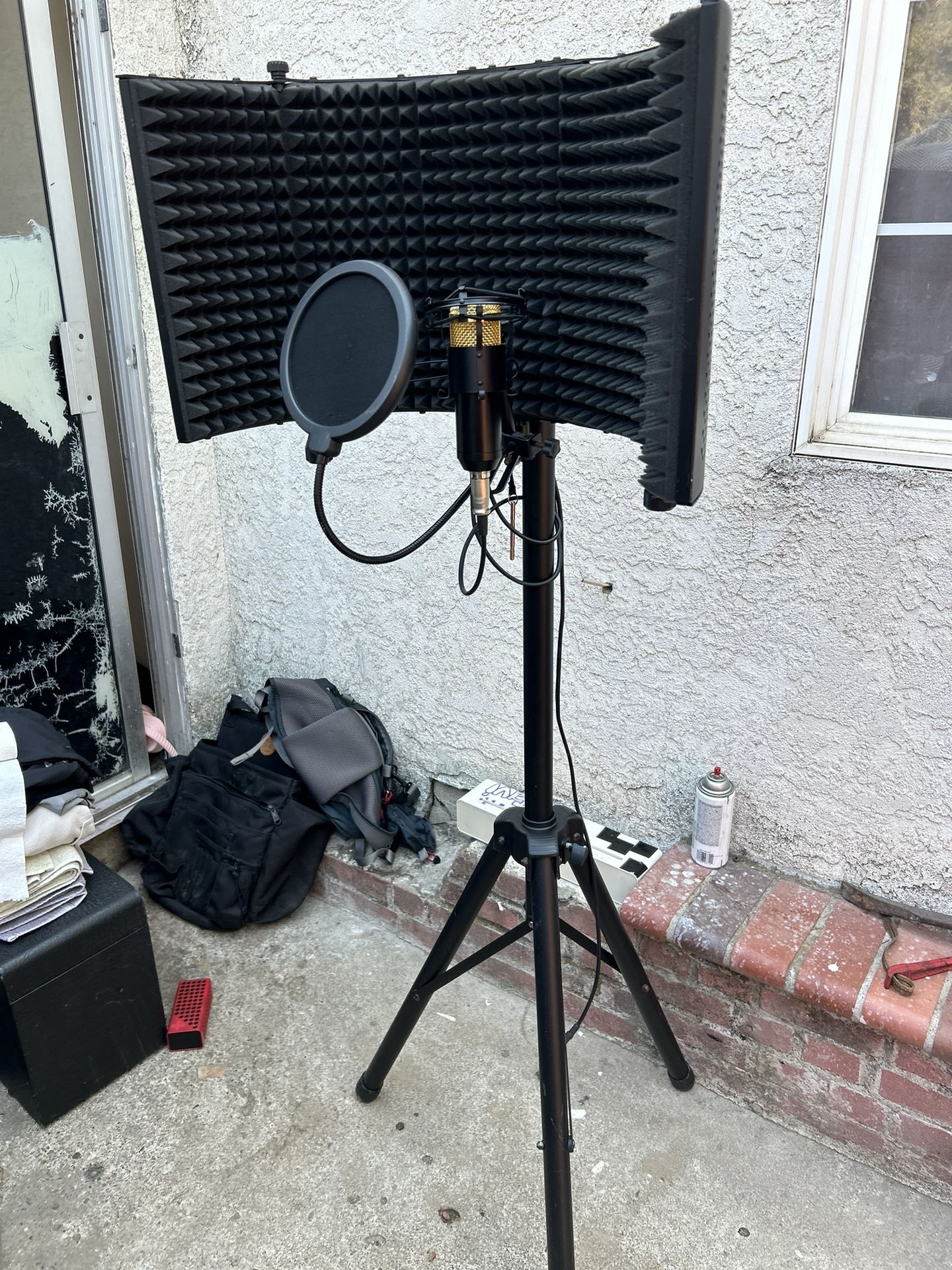 Mic