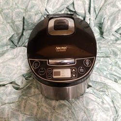 Rice and Steamer Cooker