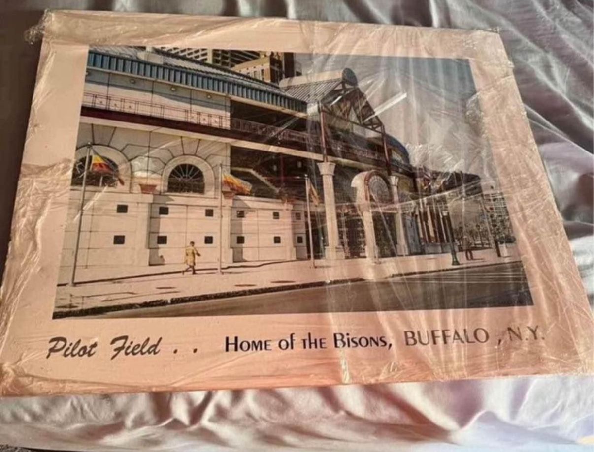 Buffalo Bisons Baseball 16-20 Pilot Field Unique
