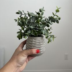Faux Plant $5