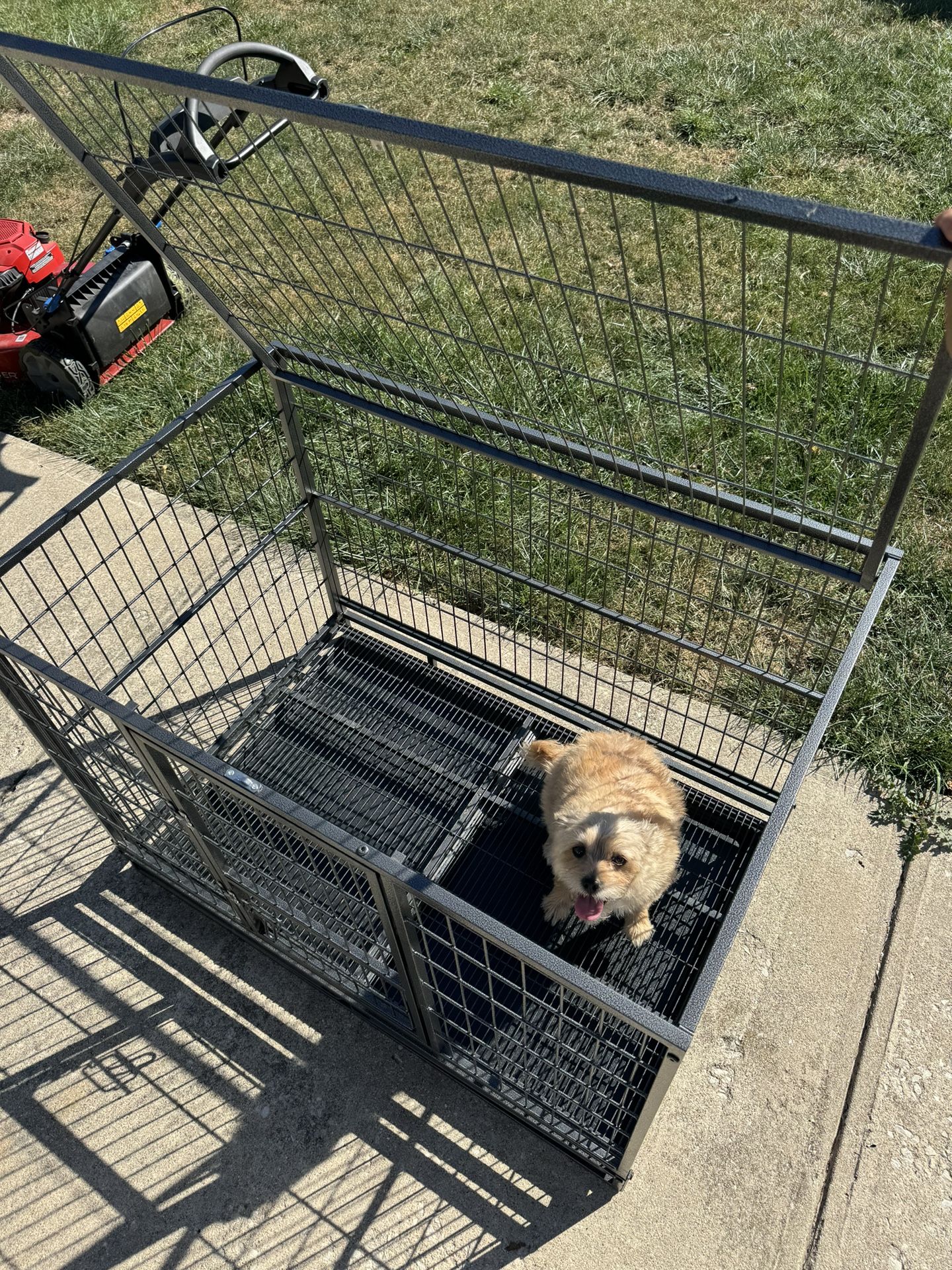 Dog Cage
