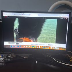 Samsung 144hz Monitor 