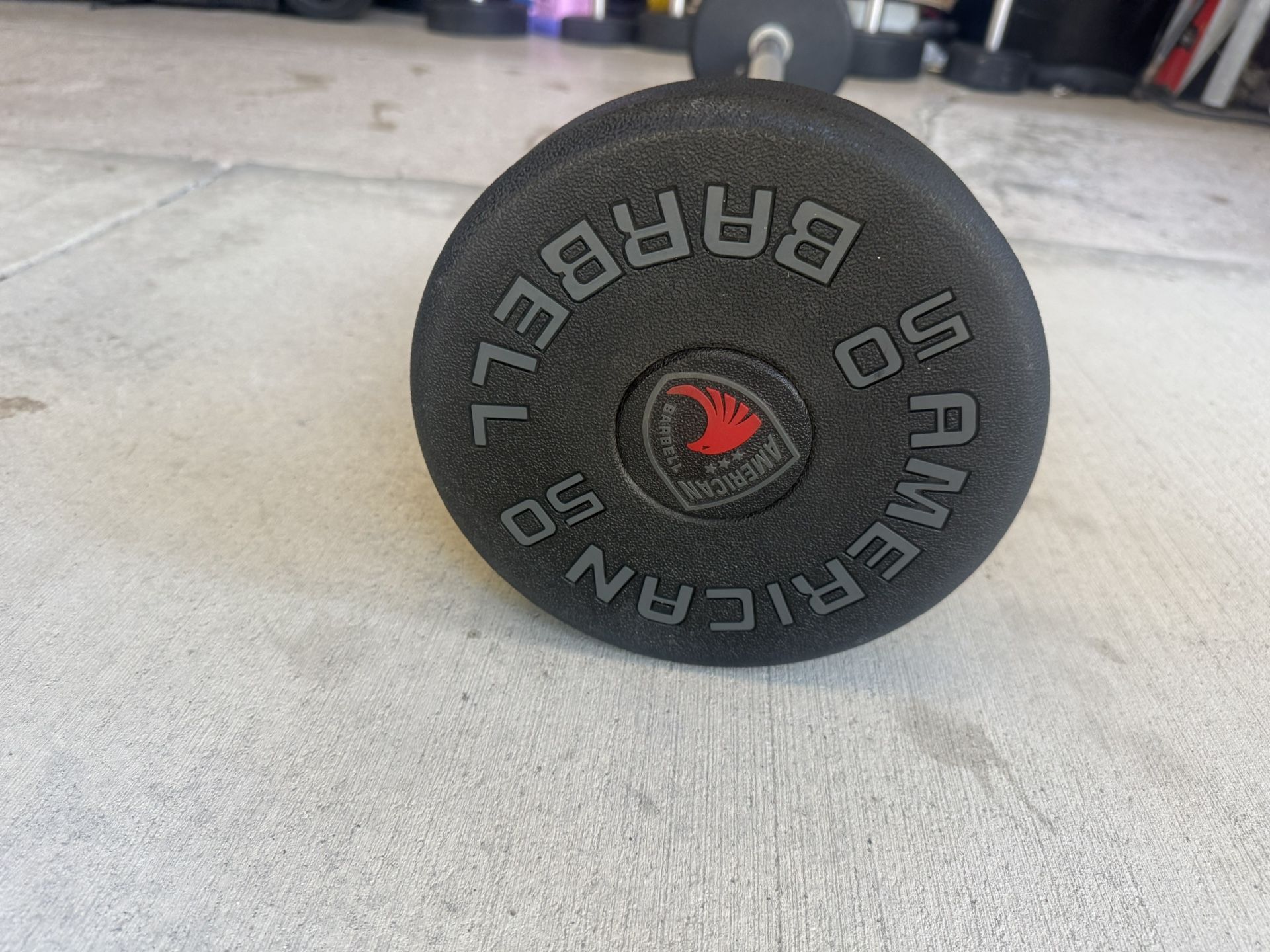 50lb Curl Bar Barbell