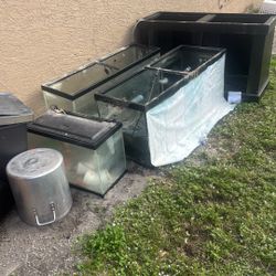 3 Fish Tanks, 75 And 55 And 20 250 Fa All 3 With Everything You See In Them Need Them Gone By Next Thursday 