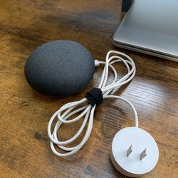 Google nest mini speaker
