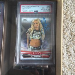 Wwe Liv Morgan