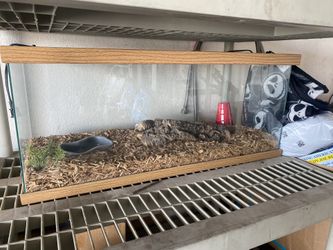 pet tank