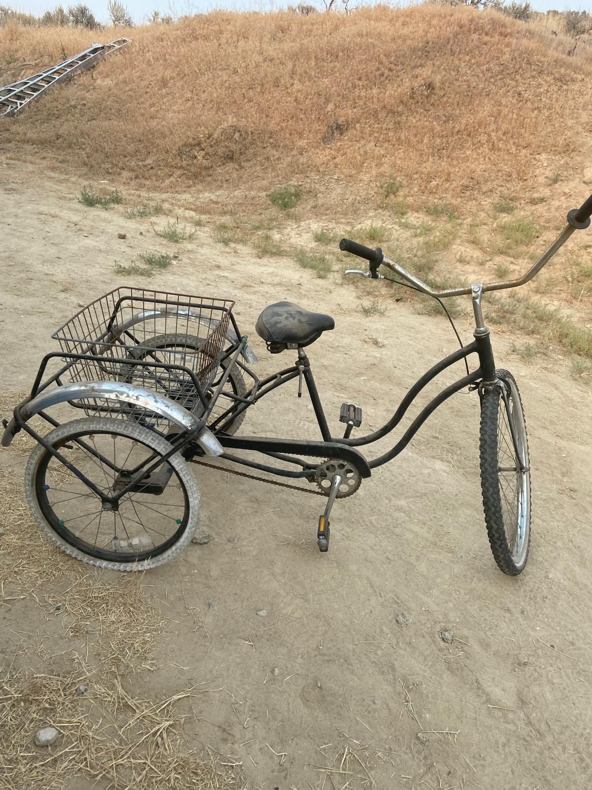 3 Wheel Bike
