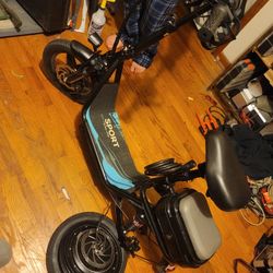Scooter Sports Riding King 48v 1000watts 