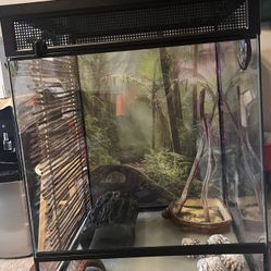 Tropical Reptile Terrarium