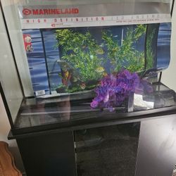 34 Gallon Fish Tank With Cabinet. 