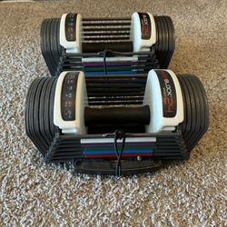 Powerblock dumbbell set