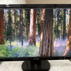 ASUS Computer Monitor
