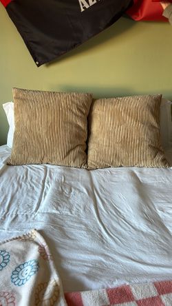 Two Large Accent Pillows