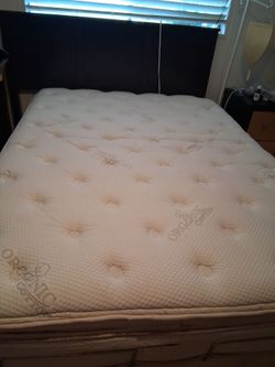 Electric quen size bed