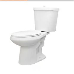 Glacier Bay Dual Flush