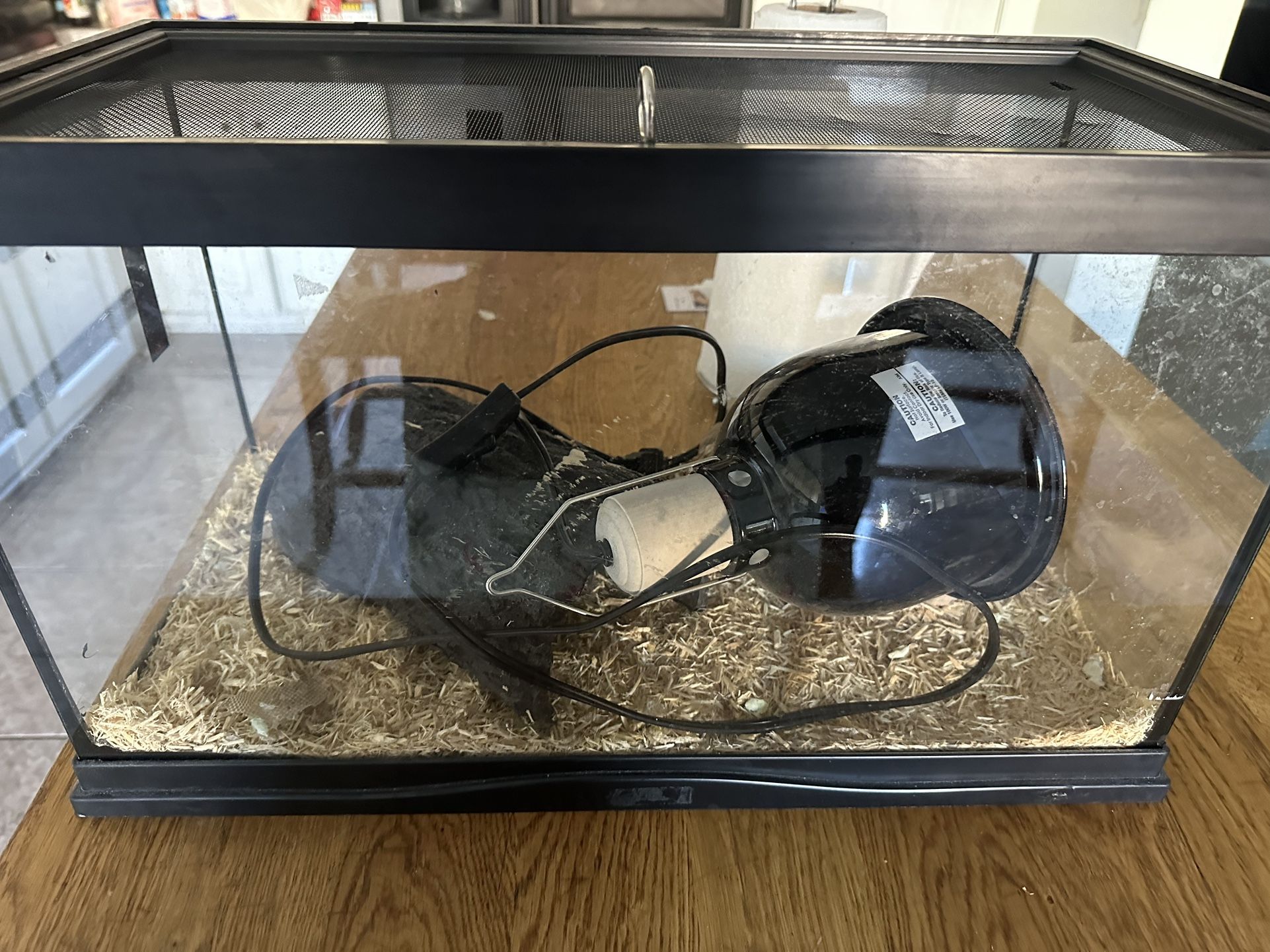 Snake Or Reptile Terrarium