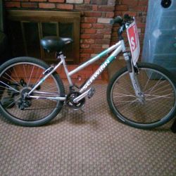 Great Bike!!😁😁 Great Deal!!🤠🤠