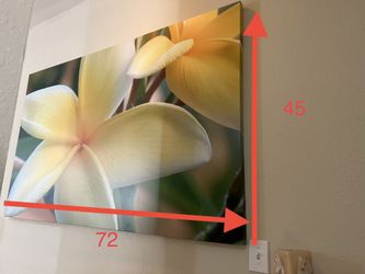 Large Picture Decorations