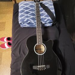 Vizcaya Bass